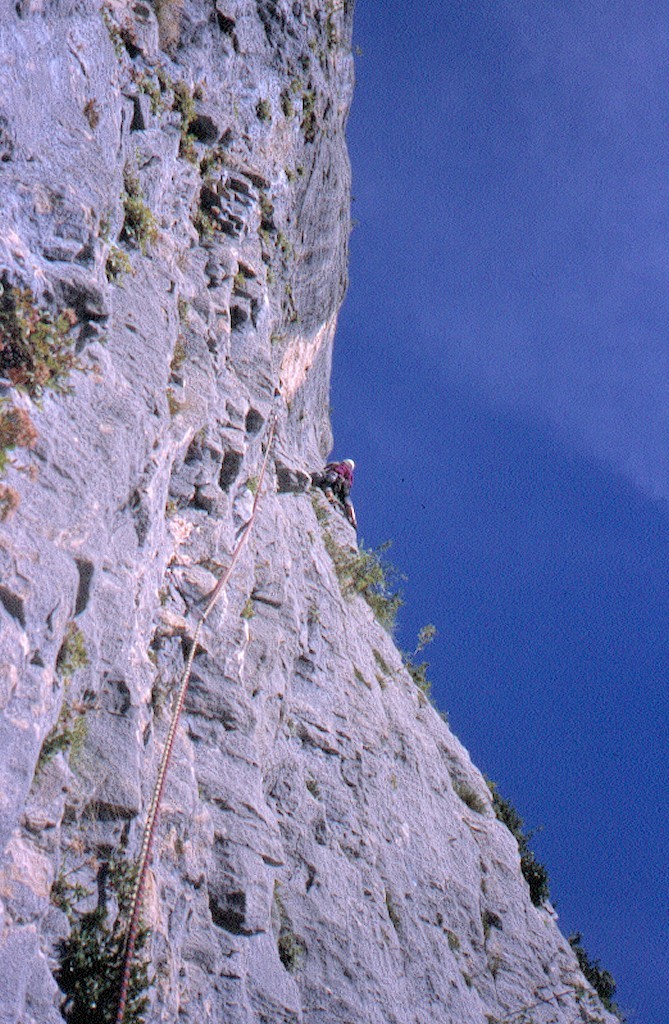 L3 - Manu en action