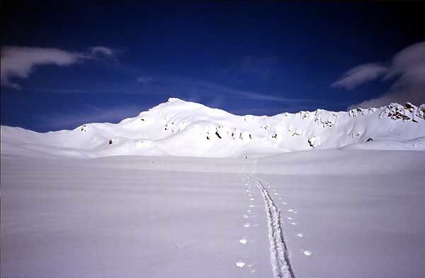 Monts Telliers