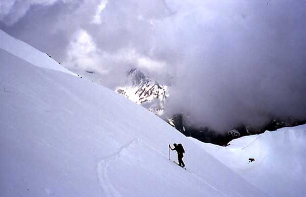 Braendjihorn