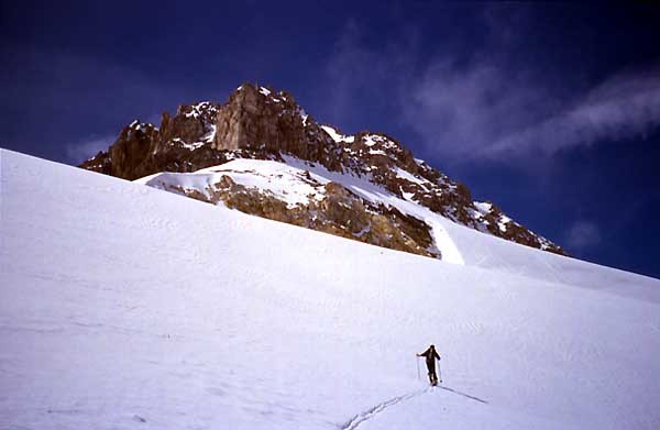 Braendjihorn