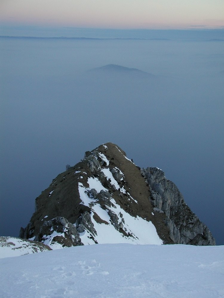Matinale au Grammont