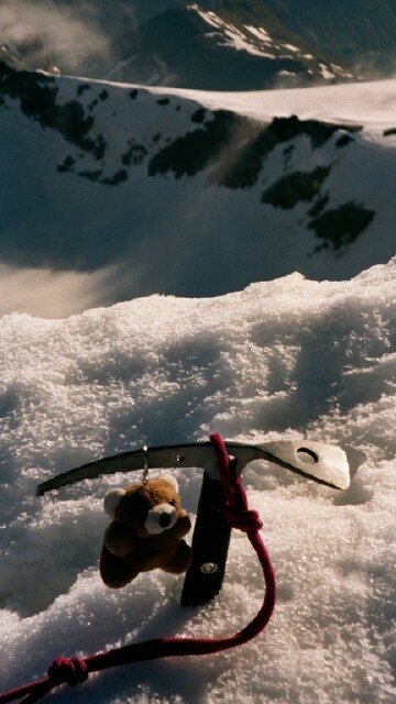 P'tit Nours au sommet de la Grande Aiguille Rousse