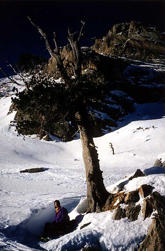 Pointe de la Saume