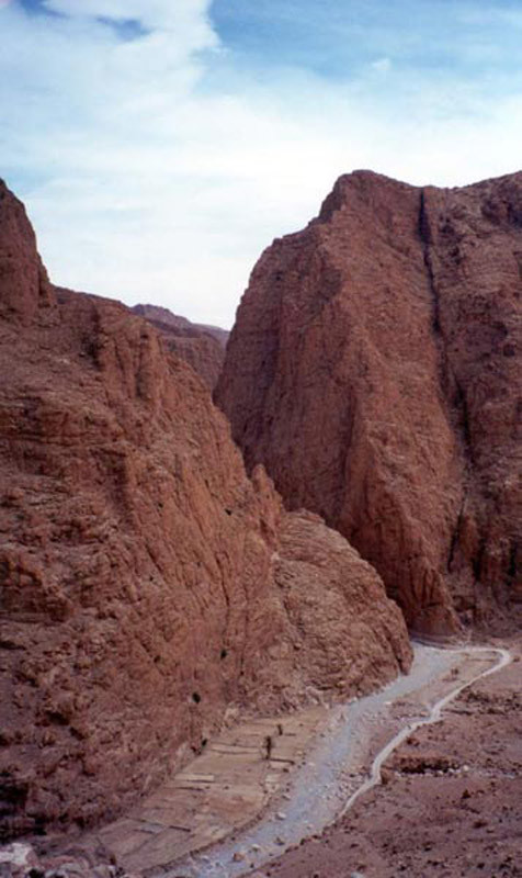 Gorges du Todra: Les jardins et soif d'aujourd'hui