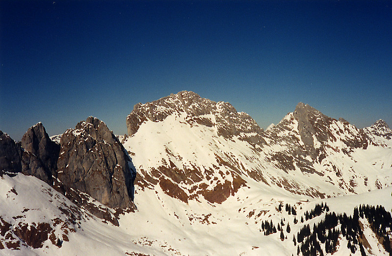 Dent de Savigny