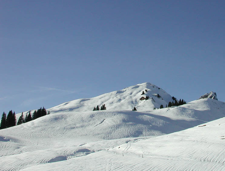 Vue sur le Husegg