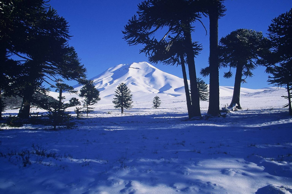Volcan Lonquimay