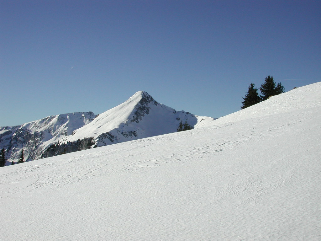 Vue sur le Schafarnisch