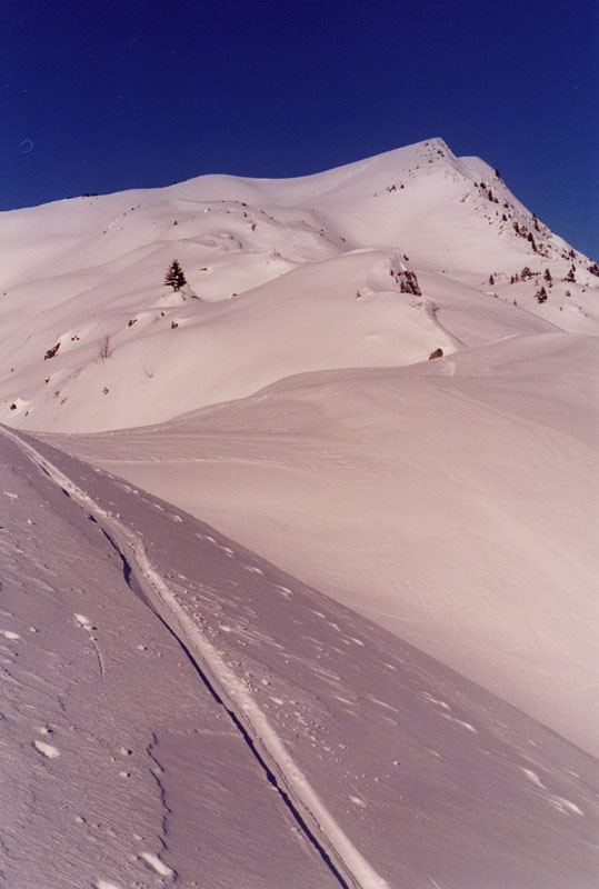 Pointe d'Ardens