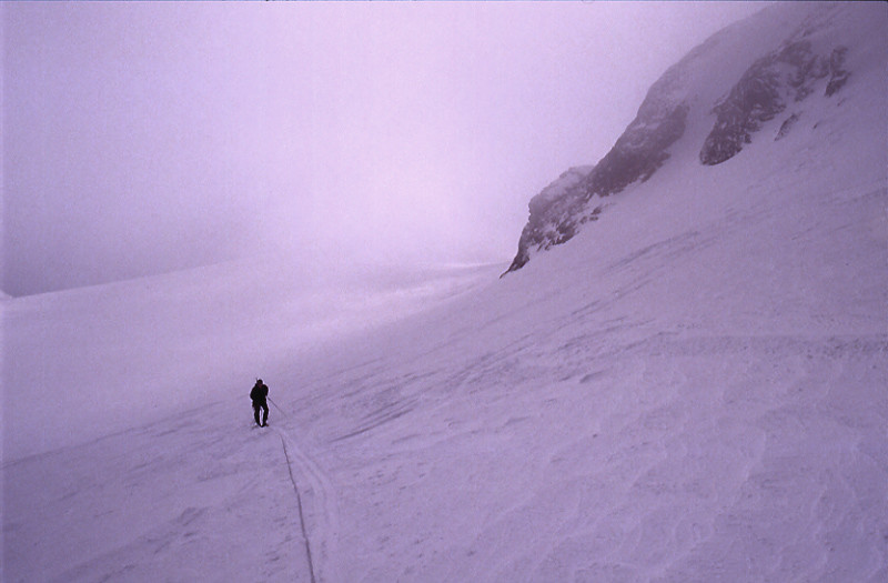 Wildhorn