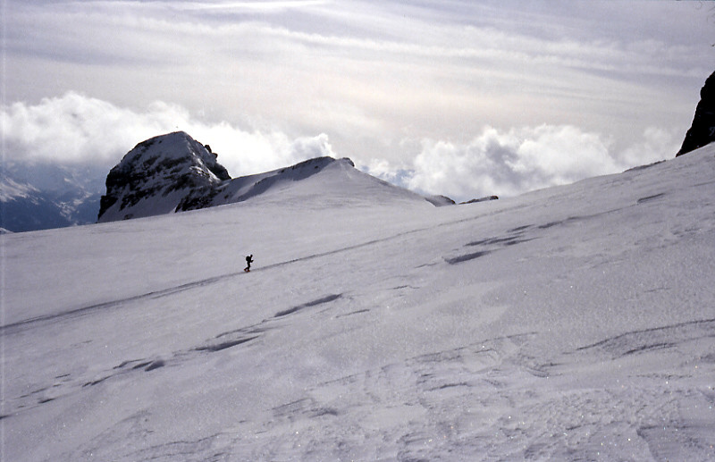 Wildhorn