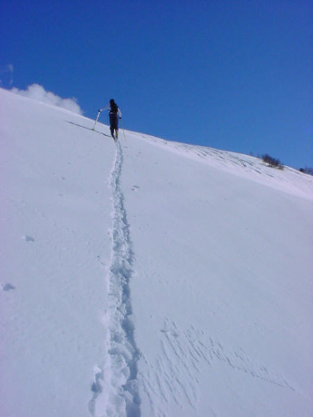 Al colle