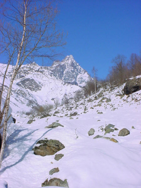 Monviso