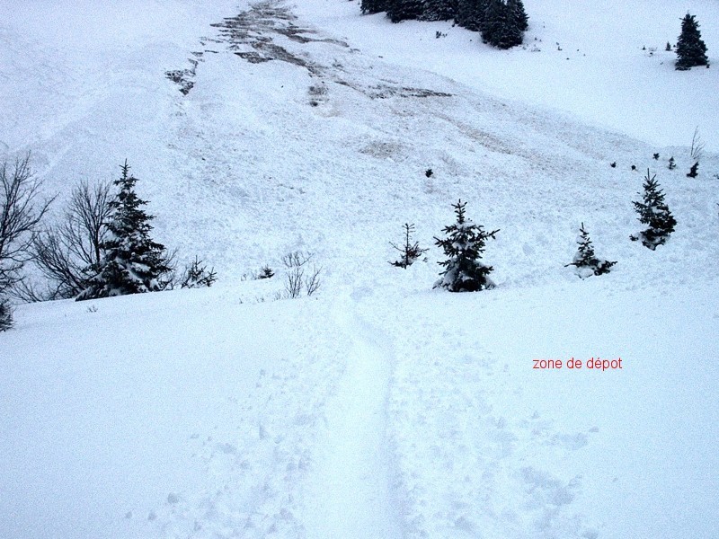 avalanche au mont d'Or du 2 mars 2002