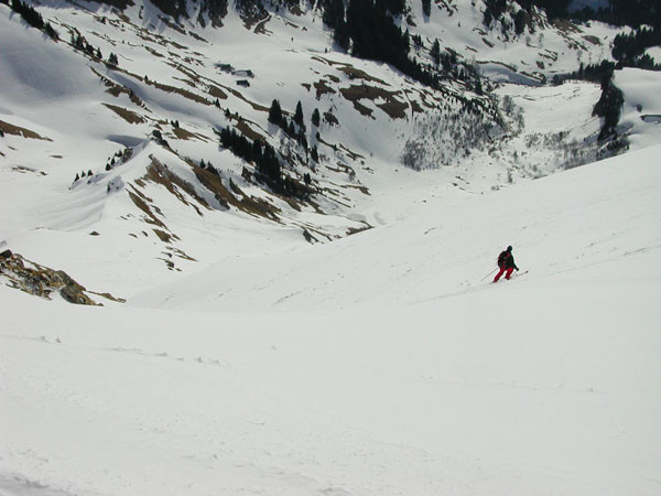 Sous le sommet (Mont de Grange, Face E)
