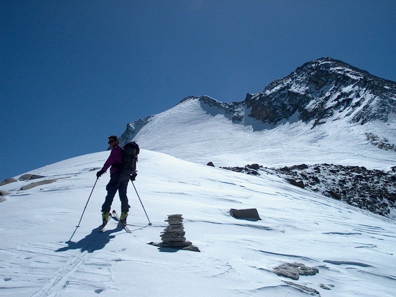 Stellihorn