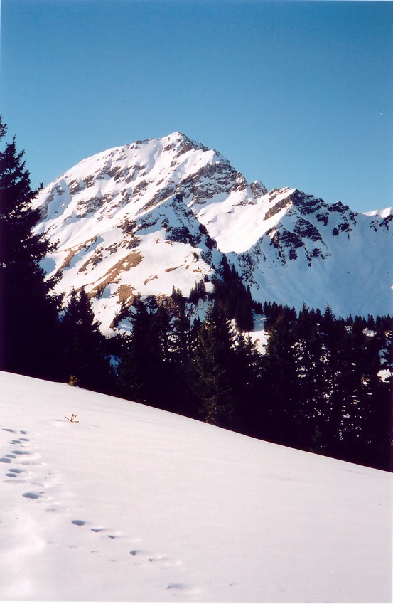 Pointe des Mattes et Mont de Grange