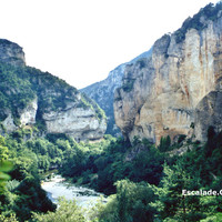 Les Gorges du Tarn