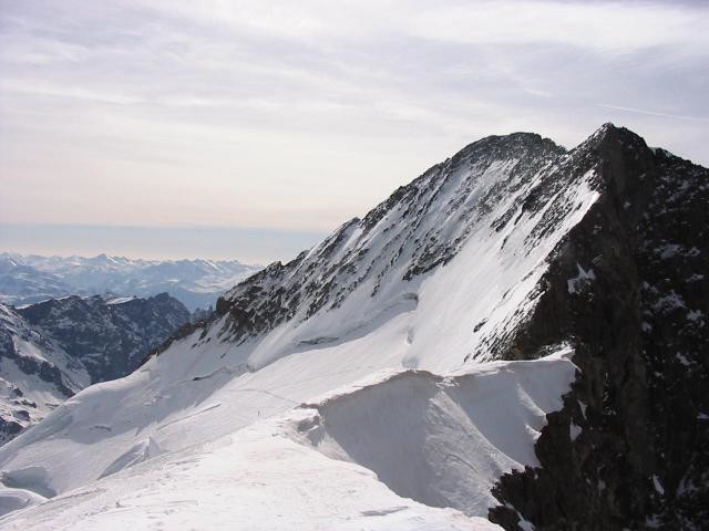Barre des Ecrins dalla vetta del Dome
