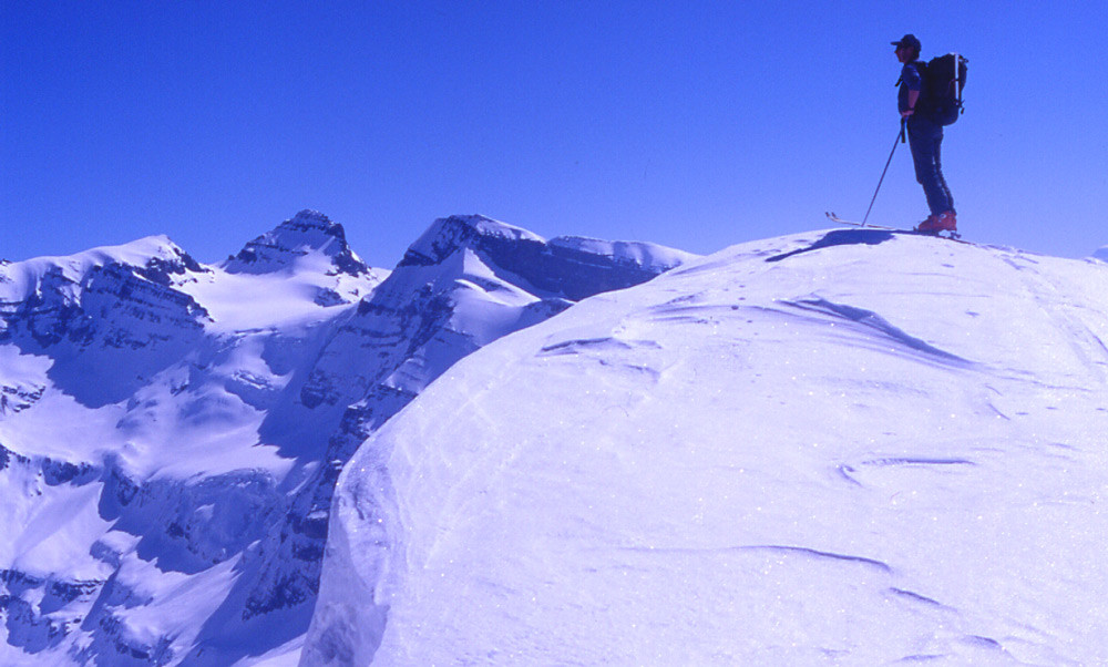 Wahil à l antécime de la Dent de Barme