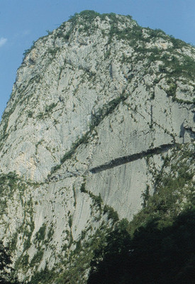 Chemin de la Mâture Chemin de la Mâture