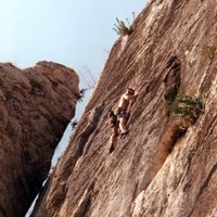 mots croisés, 6c