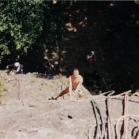 Négresse Verte