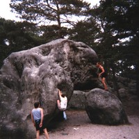 L'Eléphant