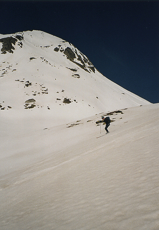 Mts Telliers
