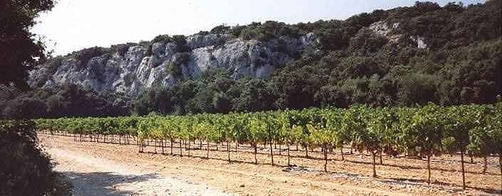 La barre rocheuse de Rocheford du Gard