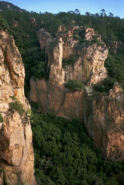 Les Gorges du Blavet