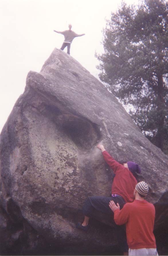 Fontainebleau: "Le Diplodocus"