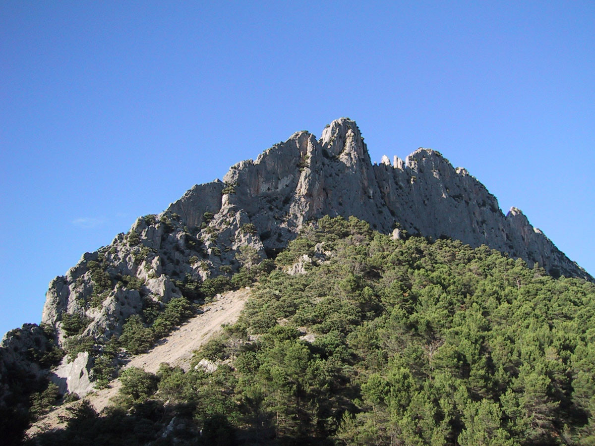Le st julien