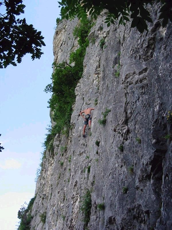 Grimpe au secteur "initiation"