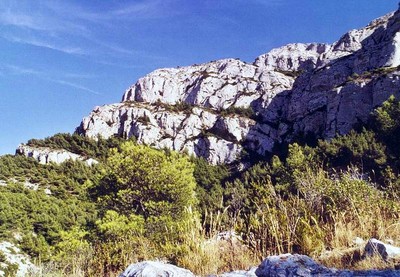 Le Massilia Le Massilia