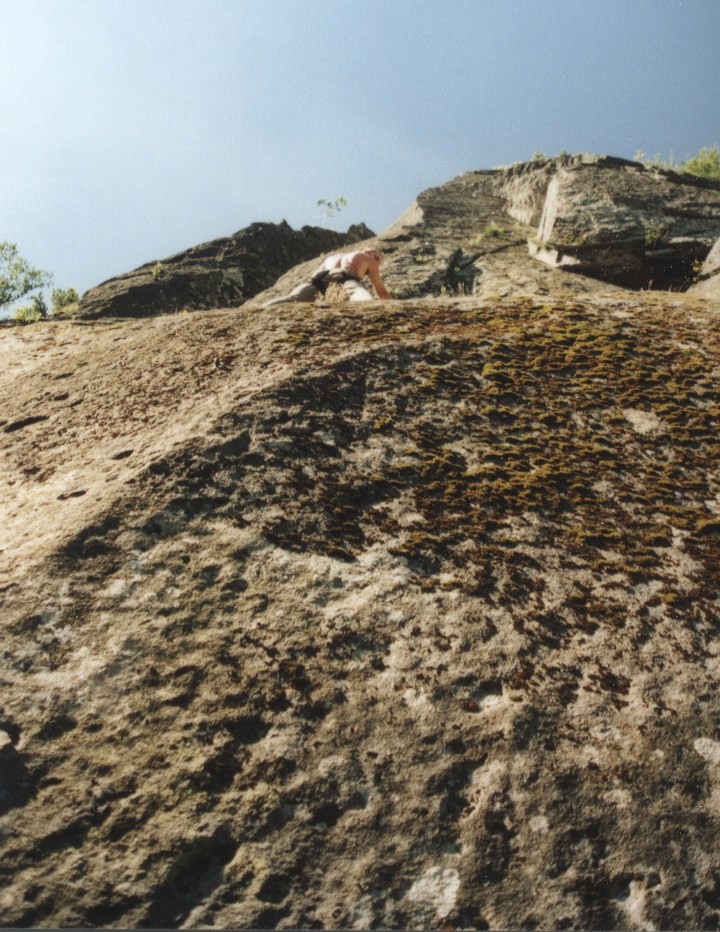 Dans une fissure du Capussin (Mont-Dore)