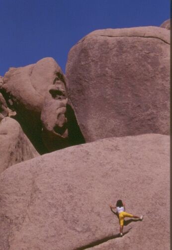 Joshua Tree