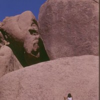 Joshua Tree