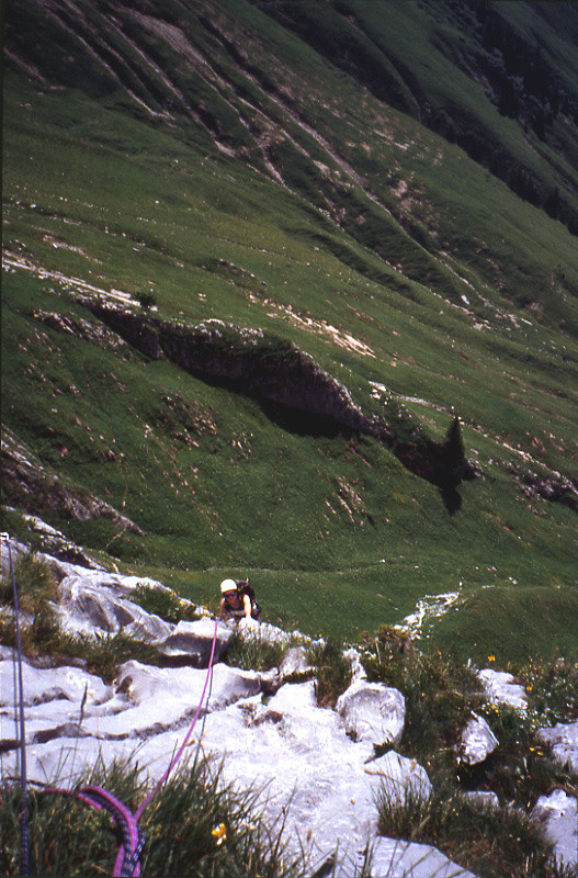 L'avenue des chamois