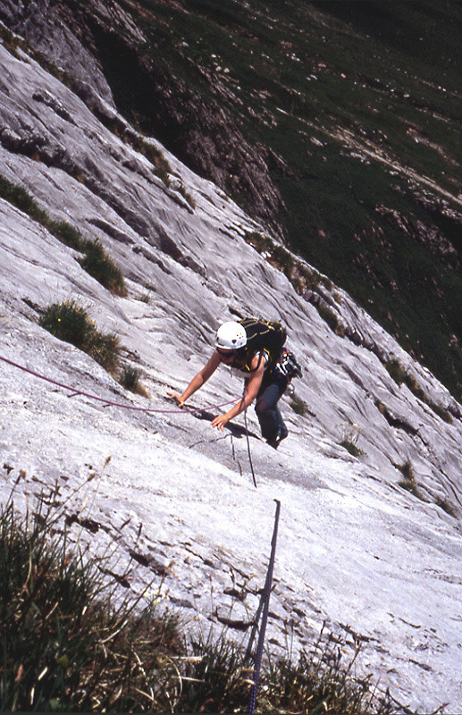 L'avenue des chamois