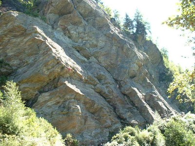 La duchère - Lys La duchère - Lys