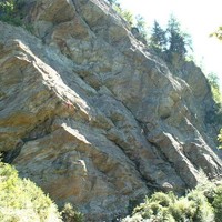 La duchère - Lys