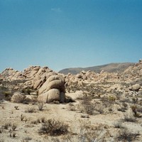 Joshua Tree
