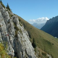 Nosfératu (Sapey)