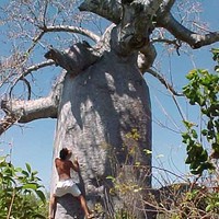 Baobab Session !!