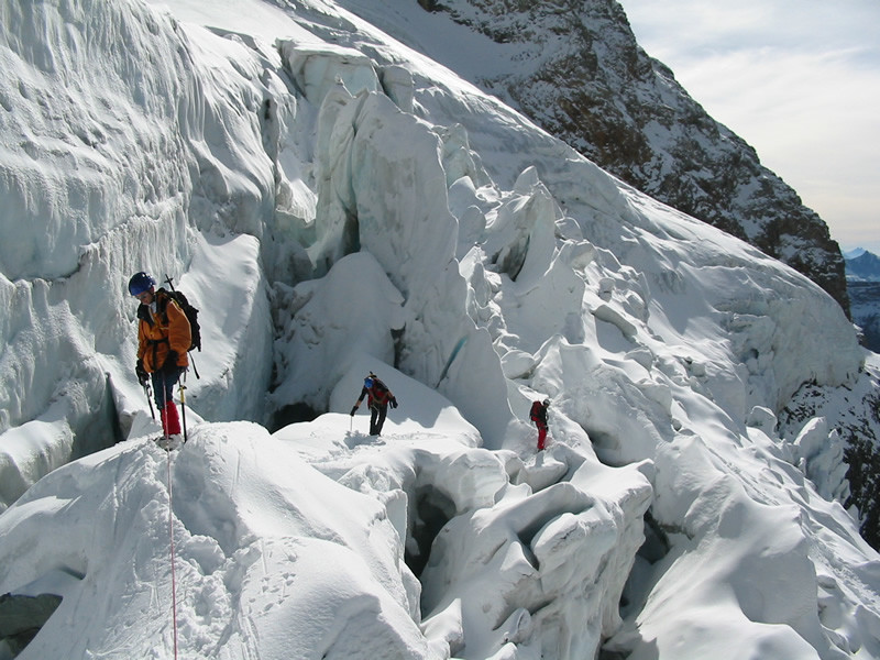Perdu dans la glace