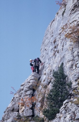 Pilier de la lavande