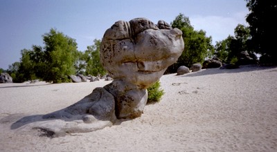 Le bilboquet forêt des 3 pignons Fontainebleau Le bilboquet forêt des 3 pignons Fontainebleau