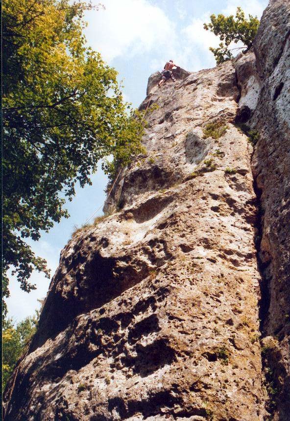 Jmi sort Catburry (les Rives)