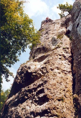 Jmi sort Catburry (les Rives)